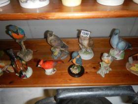 Twelve various bird figures.
