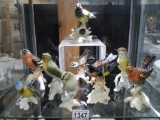 A collection of German bird figurines (tip of one beak has a small chip).