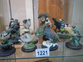 Twelve various bird figures (owl a/f).