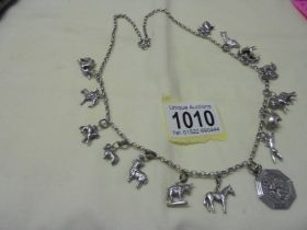 A long silver chain with forteen animal related charms,