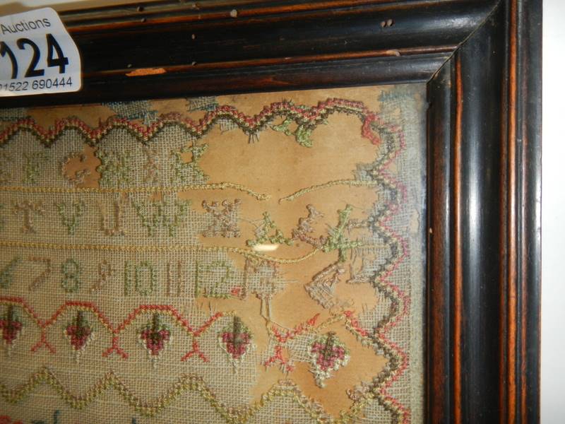 A framed and glazed Georgian sampler dated 1779 by Mary Ann Pulleg her work, COLLECT ONLY. - Image 4 of 5