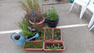 A quantity of garden planters & galvanised watering can etc. COLLECT ONLY
