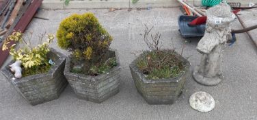 3 concrete hexagonal planters COLLECT ONLY