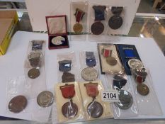 Sixteen education related medals.