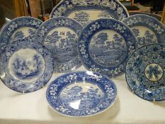 A Blue and white meat platter and seven blue and white plates.