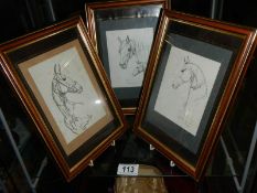 Three framed and glazed studies of horses, signed but indistinct.