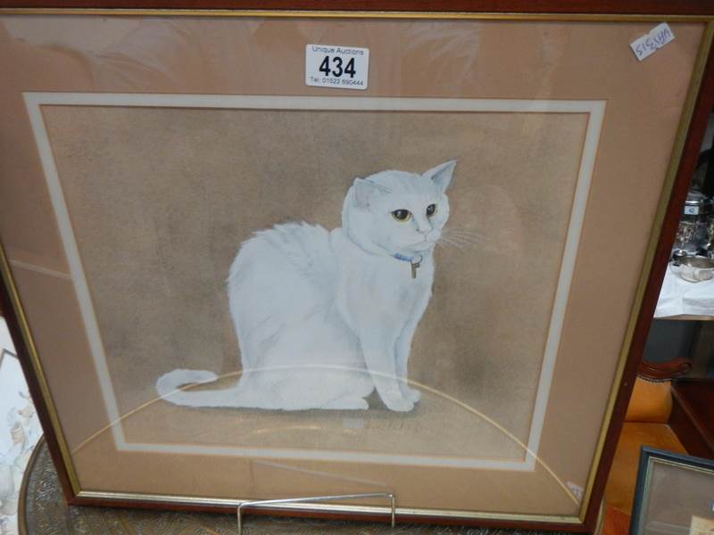 A framed and glazed watercolour of a CAT signed Chuck Paterson 10.9.86, COLLECT ONLY. - Image 3 of 5