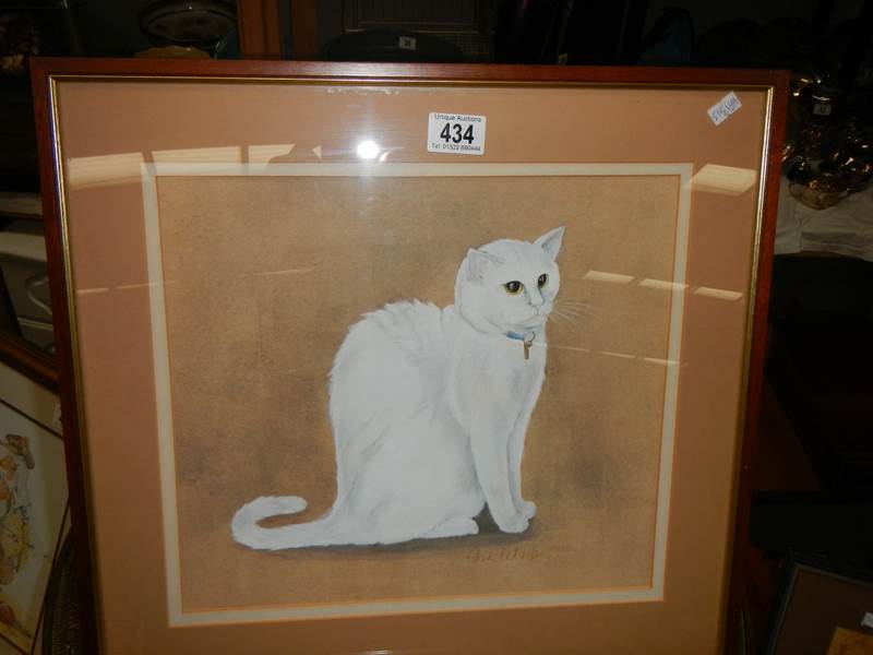 A framed and glazed watercolour of a CAT signed Chuck Paterson 10.9.86, COLLECT ONLY.