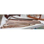 A quantity of walking sticks with antler handles COLLECT ONLY