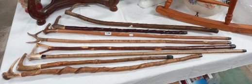 A quantity of walking sticks with antler handles COLLECT ONLY