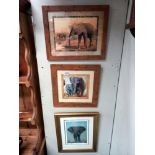 3 framed prints of elephants COLLECT ONLY