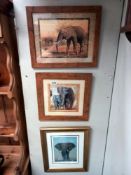 3 framed prints of elephants COLLECT ONLY