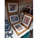 5 gilt framed & glazed prints of big cats COLLECT ONLY