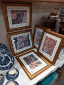 5 gilt framed & glazed prints of big cats COLLECT ONLY
