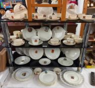 A fabulous lot of crested china cups and saucers and plates