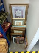Approximately twelve framed and glazed prints. COLLECT ONLY.