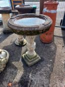 A weathered bird bath, 75cm high, COLLECT ONLY.