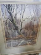 A mid 20th century framed and glazed watercolour painting of swamp woods, COLLECT ONLY.
