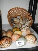 A mixed lot of stones and shells.