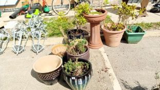 A large lot of garden planters etc. COLLECT ONLY