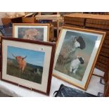 3 framed and glazed prints of Highland cattle, Highland calf and a black faced sheep COLLECT ONLY