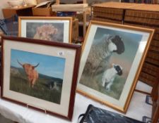 3 framed and glazed prints of Highland cattle, Highland calf and a black faced sheep COLLECT ONLY