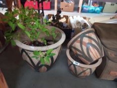 3 matching garden plant pots, 1 has a plant COLLECT ONLY