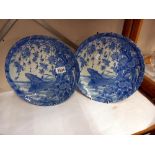 A pair of Chinese blue & white plates depicting fish COLLECT ONLY