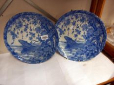 A pair of Chinese blue & white plates depicting fish COLLECT ONLY