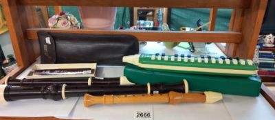 A Cased Hohner melodica soprano, 3 recorders and a harmonica Collect Only