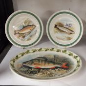 3 Portmeirion plates depicting 'fish' COLLECT ONLY