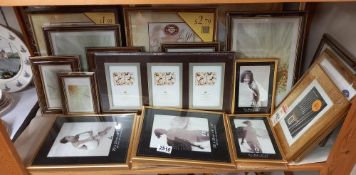 A quantity of new photo frames COLLECT ONLY