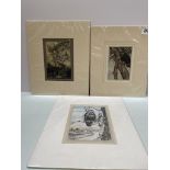 3 Arthur Rackham carded prints including The Gossips c 1913; For Years He Had Been Quietly