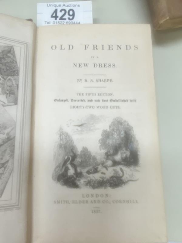 Antiquarian books including Insect Transformations 1830, Old Friends in a New Dress by Sharpe - Image 2 of 5