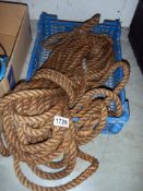 Some old rope.