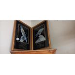 2 gilt framed silvered pictures of a kestrel and a Peregrin falcon COLLECT ONLY