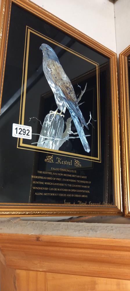 2 gilt framed silvered pictures of a kestrel and a Peregrin falcon COLLECT ONLY - Image 2 of 3