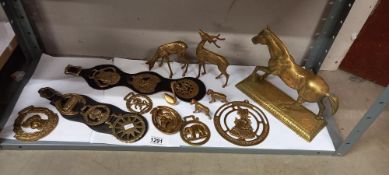 A good lot of horse brasses and brass animals COLLECT ONLY
