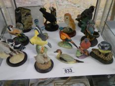 A mixed lot of bird figures including Royal Worcester, Border Fine Arts, Country Arts etc.,