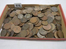 A large quantity of pre-decimal pennies and half pennies.