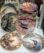 10 Coalport Garden visitor collectors cabinet plates and 1 Wedgwood RSPB collectors plates featuring