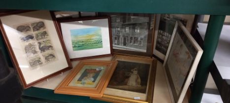 A selection of framed prints COLLECT ONLY