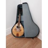 Italian flat back Carlo Ricordo Mandolin in hard case