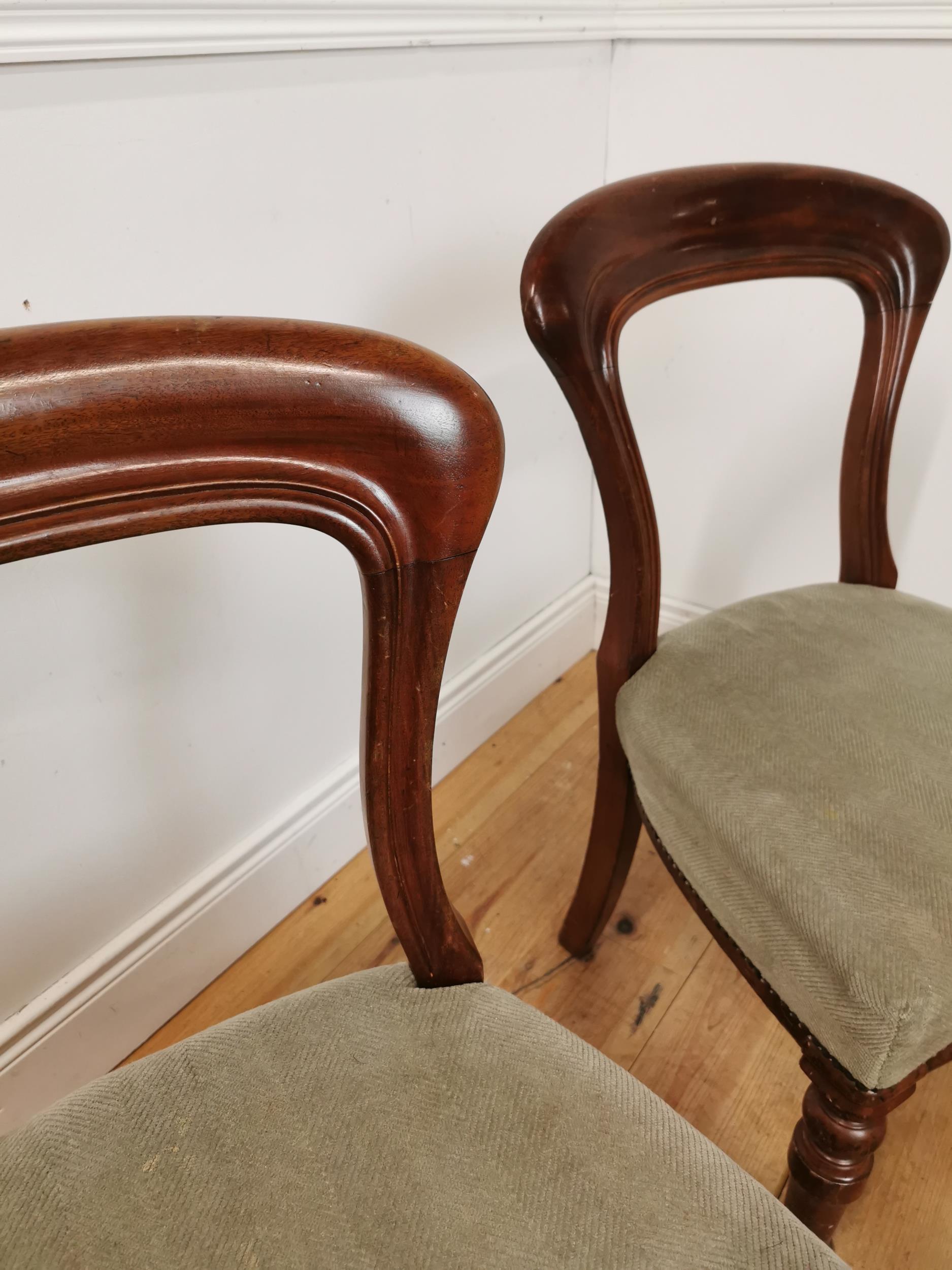 Pair of 19th. C. mahogany spoon backed dining chairs with upholstered seats raised on turned - Image 2 of 3