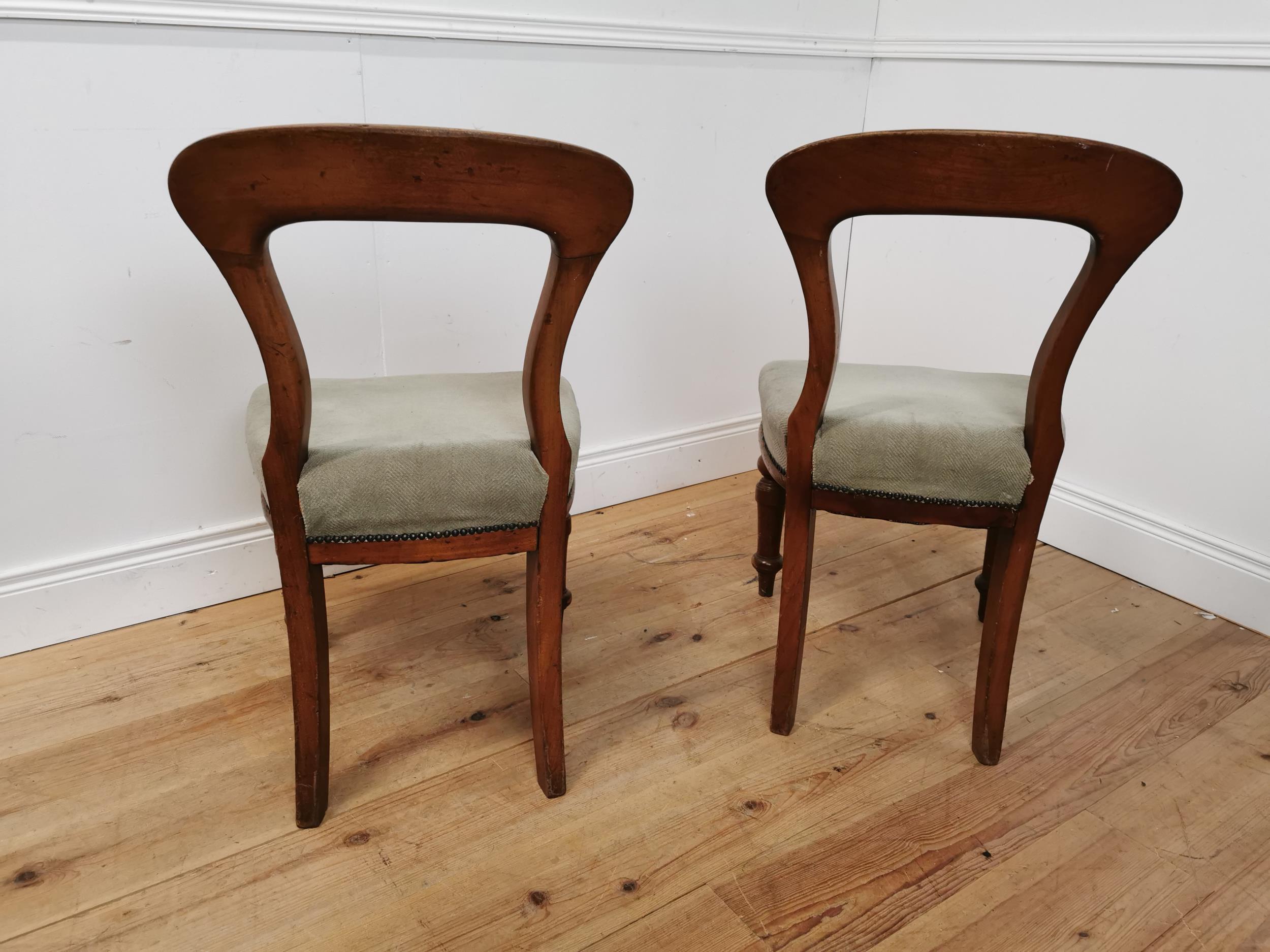 Pair of 19th. C. mahogany spoon backed dining chairs with upholstered seats raised on turned - Image 3 of 3