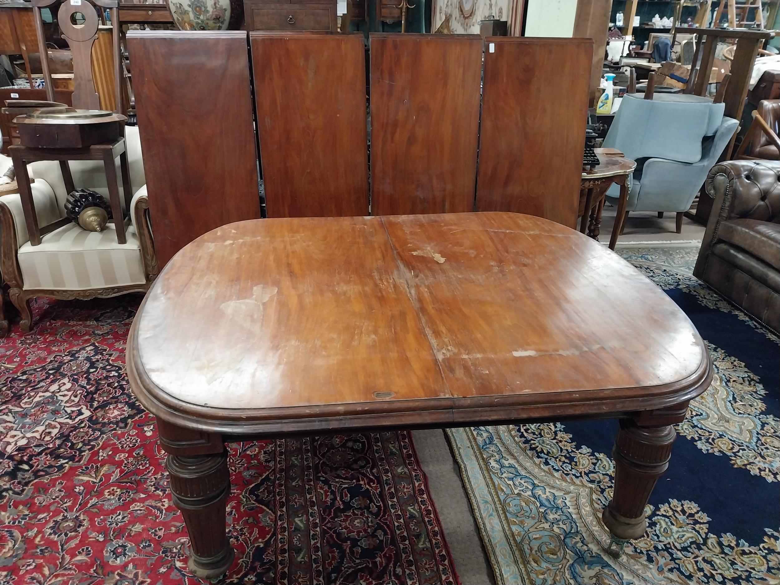 19th C. mahogany extension dining table with four extra leaves on reeded legs and brass castors {