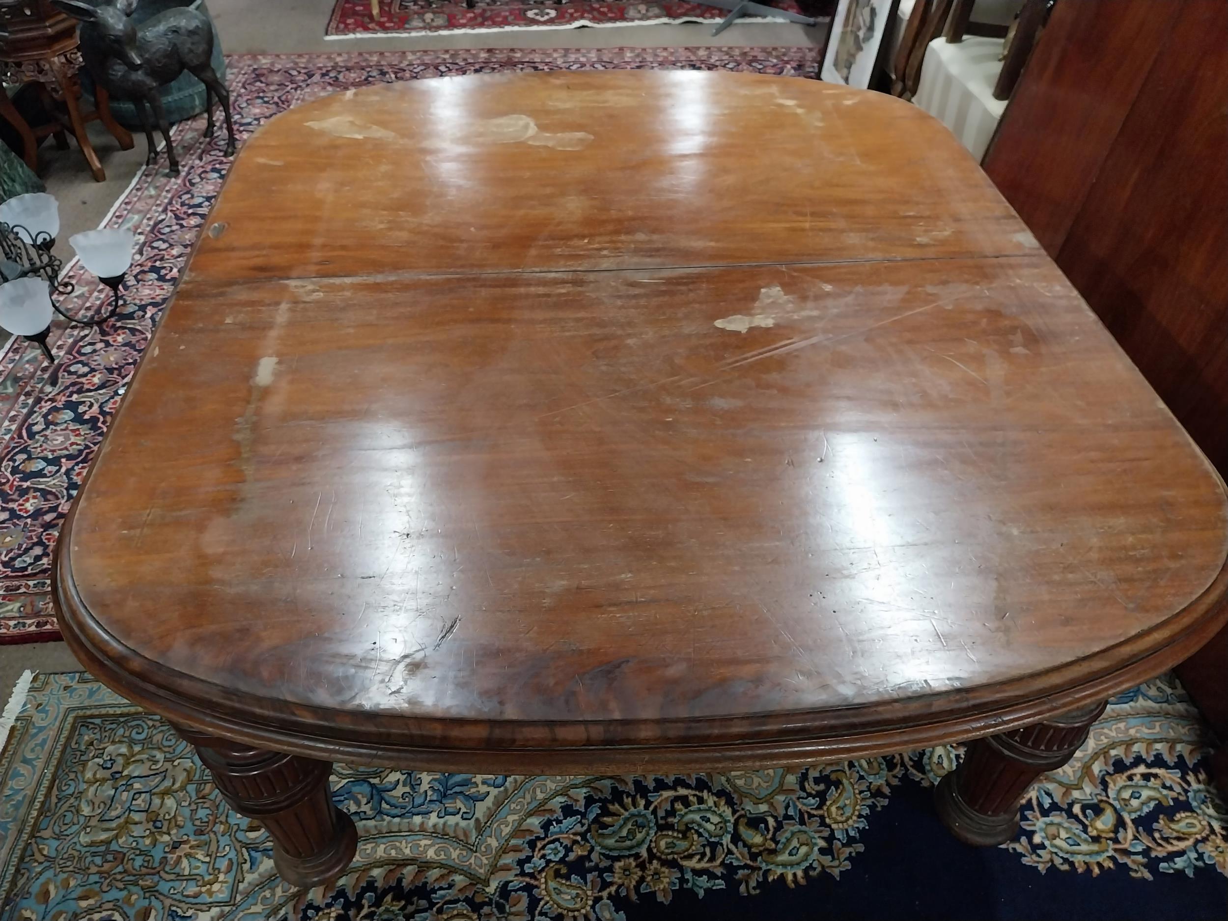 19th C. mahogany extension dining table with four extra leaves on reeded legs and brass castors { - Image 4 of 4