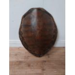 Rare 19th C. tortoise shell {73 cm H x 60 cm W x 24 cm D}.
