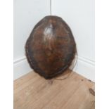 19th C. tortoise shell {44cm H x 36cm W x 12 D}