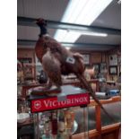 Taxidermy Pheasant on wooden plinth {42 cm H x 81 cm W}.